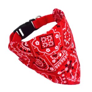 dog bandana.jpg