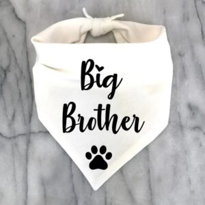 Big Brother Bandana Dog.jpg