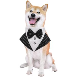 Dog Bandanas for Weddings.jpg