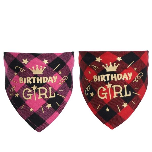 Dog Birthday Bandana.jpg