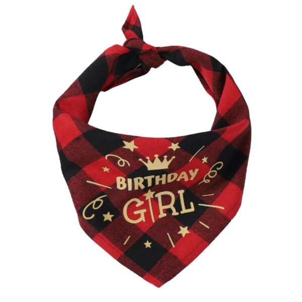 Dog Birthday Bandana.jpg