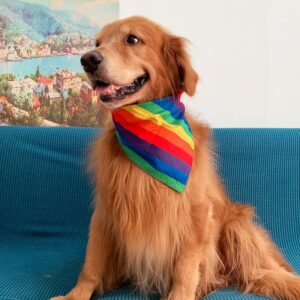 bandana rainbow