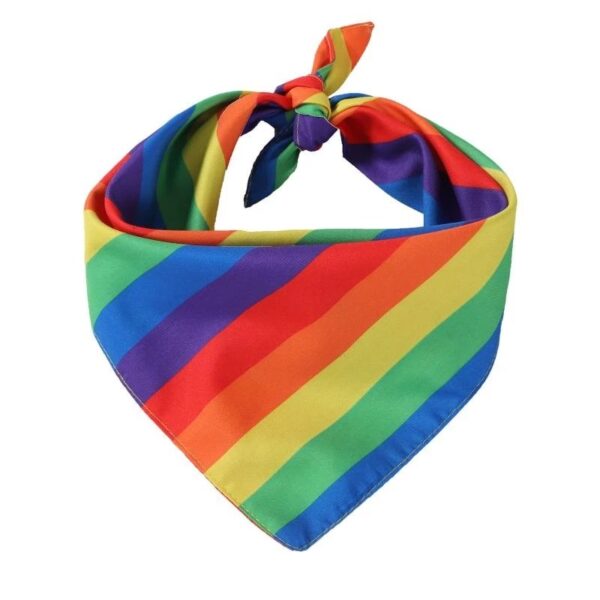 bandana rainbow